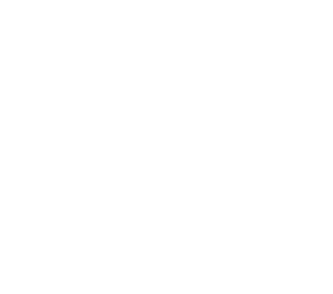 Copy of WIS_Primary_Logo_White_RGB